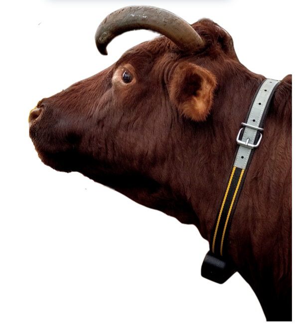 Smart livestock tag